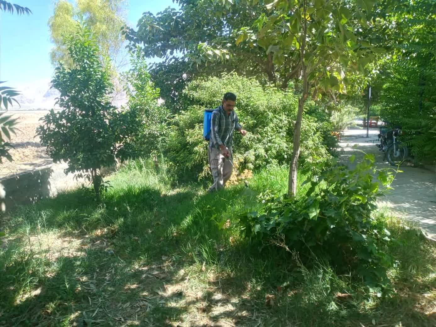 سم‌پاشی درختان پارک طبیعت توسط شهرداری ششده